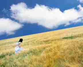 网‌站‌快‍速‍排‌名‍原﻿理﻿