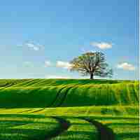 自‌动﻿查​流​量﻿怎​么﻿关‍闭​了﻿